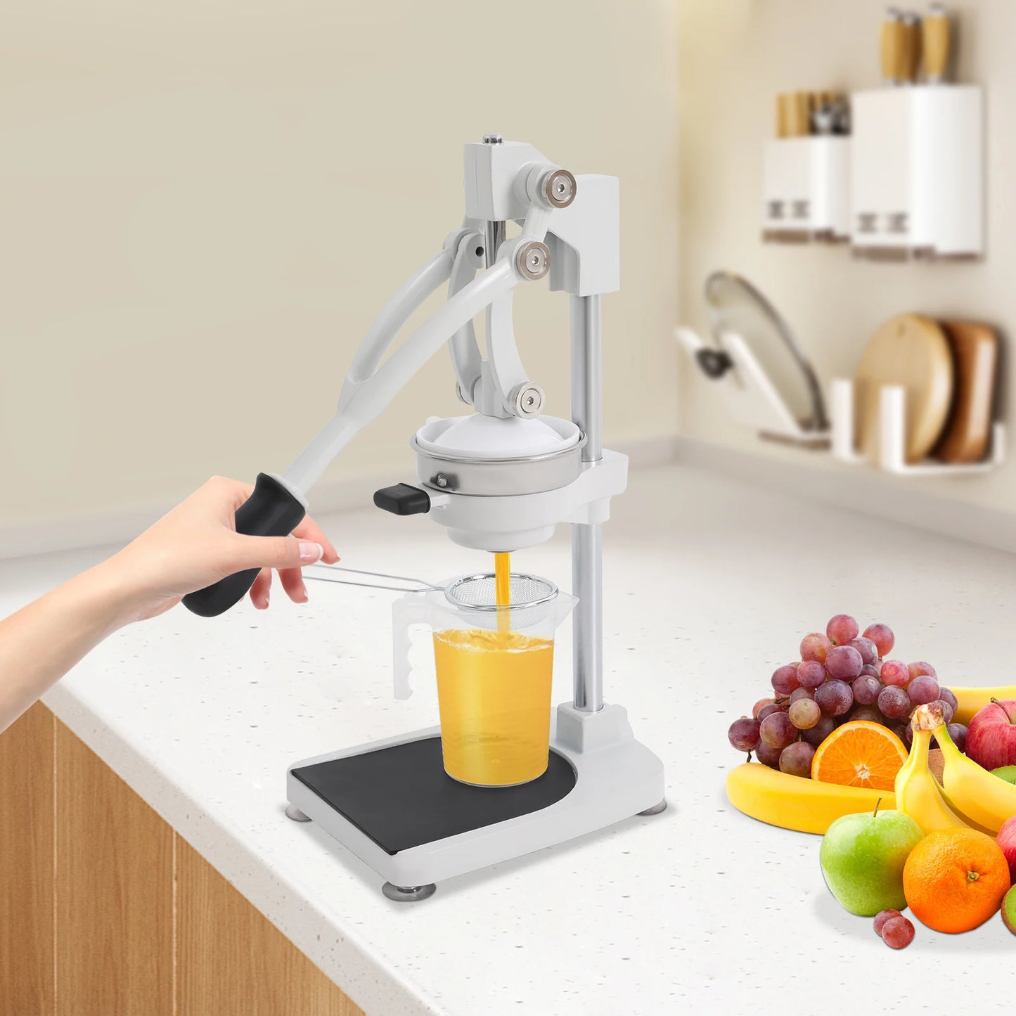ChillSip DualPress Manual Juicer